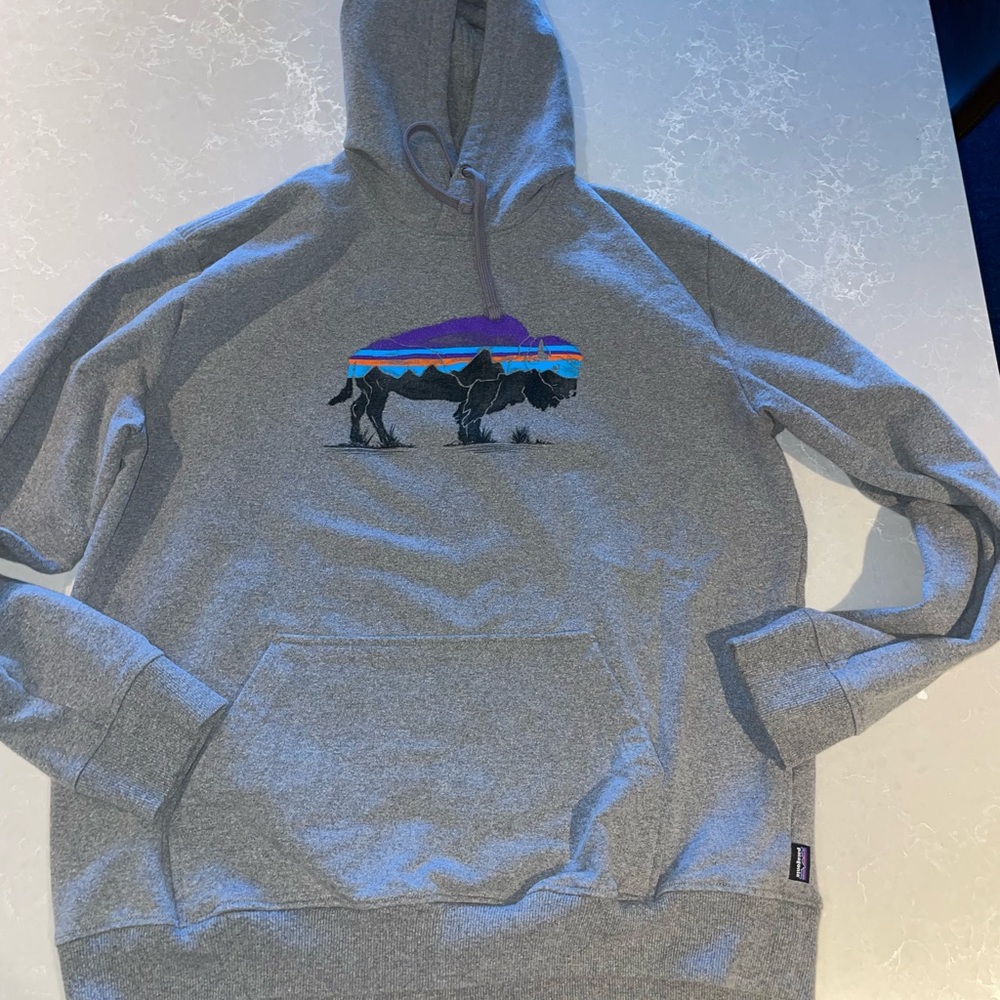 Large Patagonia hoodie